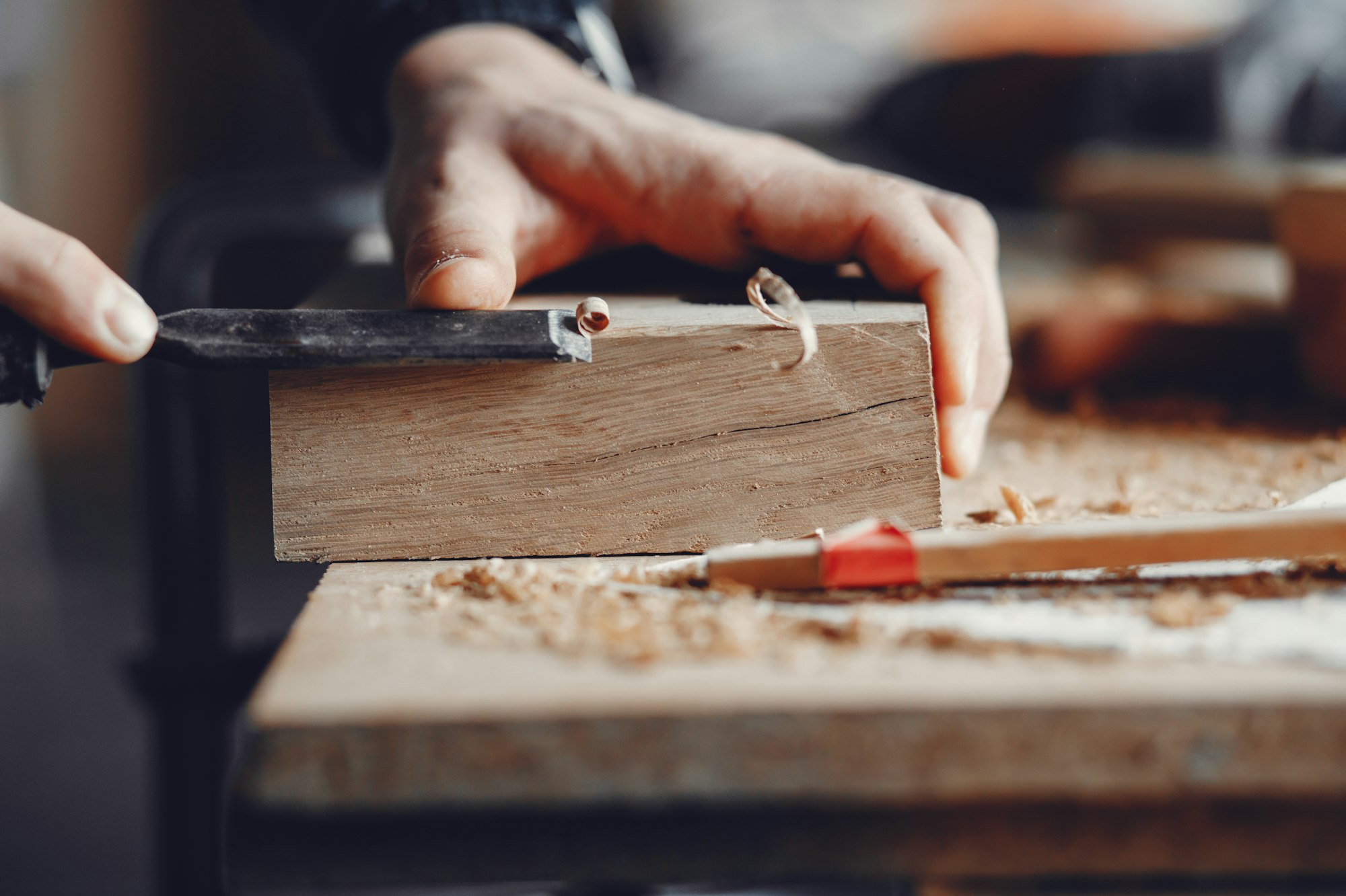 The carpenter works with a tree